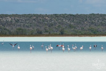 11_UPS_1907_tsimanampesotse