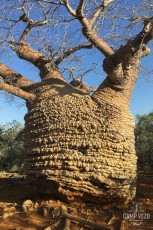 16_IMG_0847_tsimanampesotse