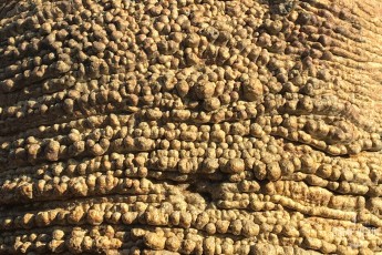 18_IMG_0847_tsimanampesotse